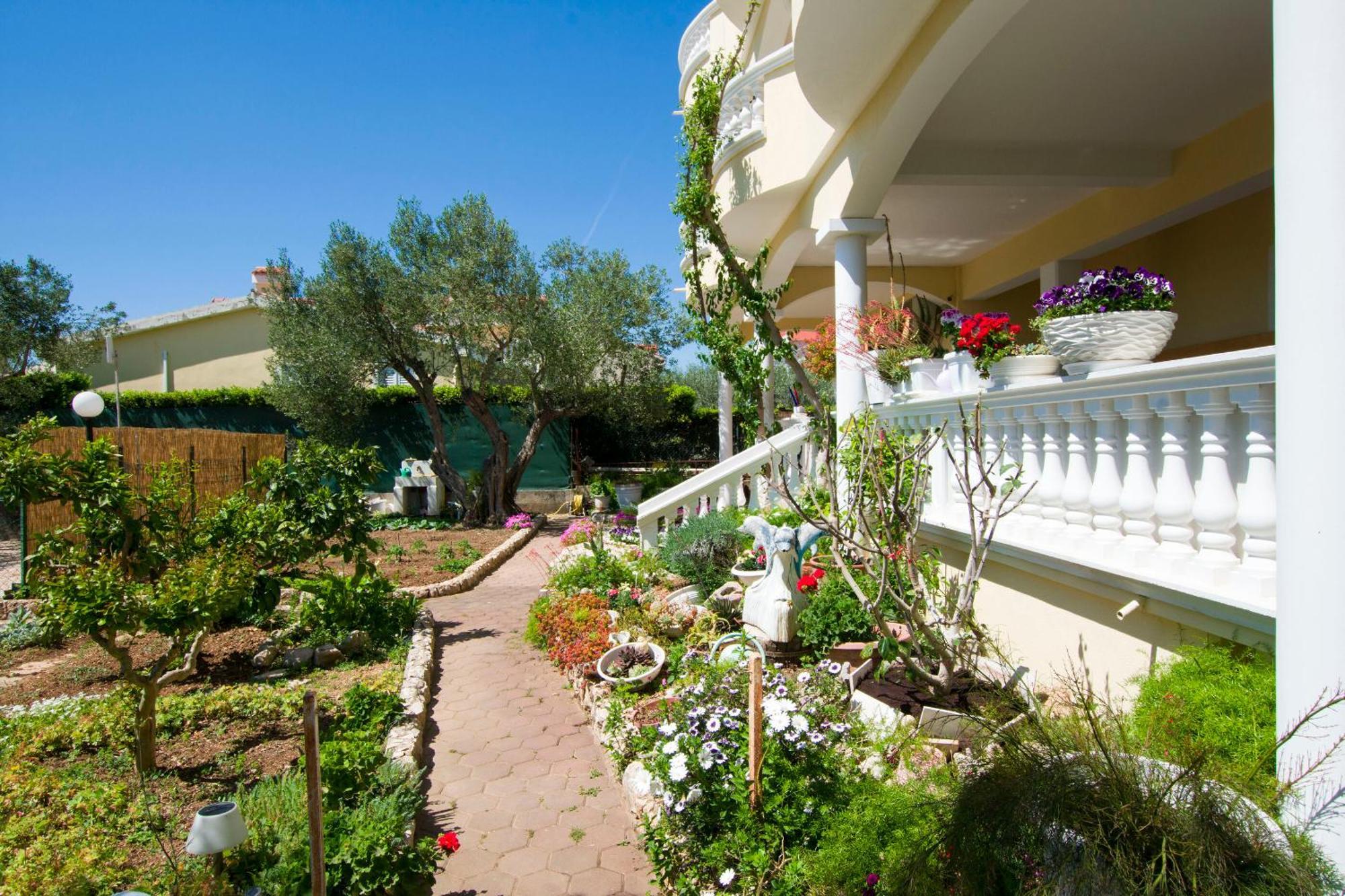Apartments Dandelion Biograd Na Moru Exterior foto